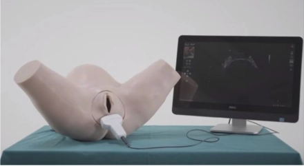 IUSim – ultrasonografia w trakcie porodu, symulator z zintegrowanym fantomem