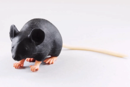 Fantom myszy laboratoryjnej „Mimicky”