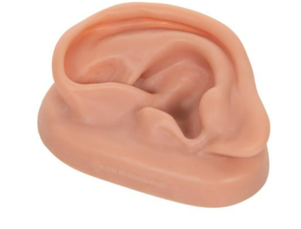 Model małżowiny usznej do akupunktury – ucho lewe